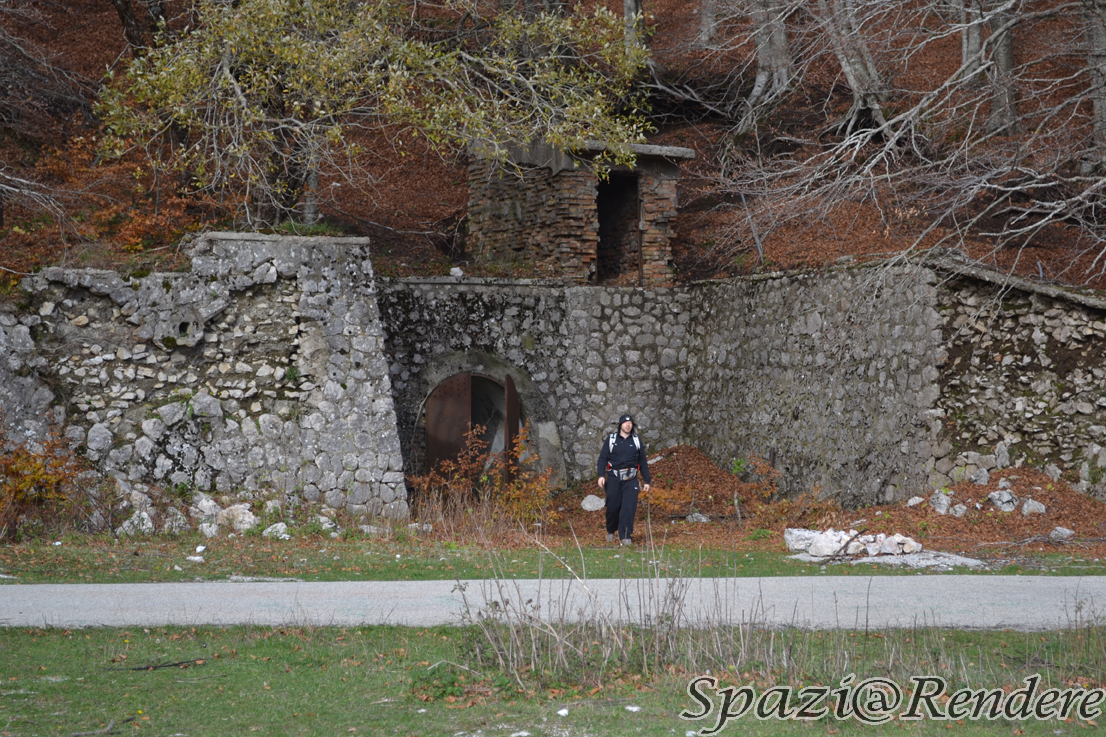 0tb04XXDSC_0513.jpg