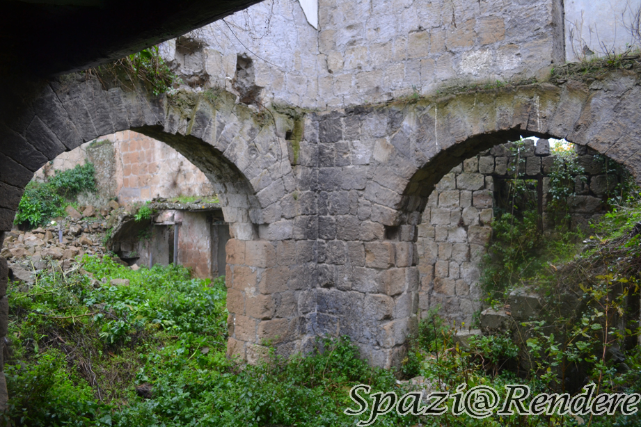 xzDSC_0765.jpg